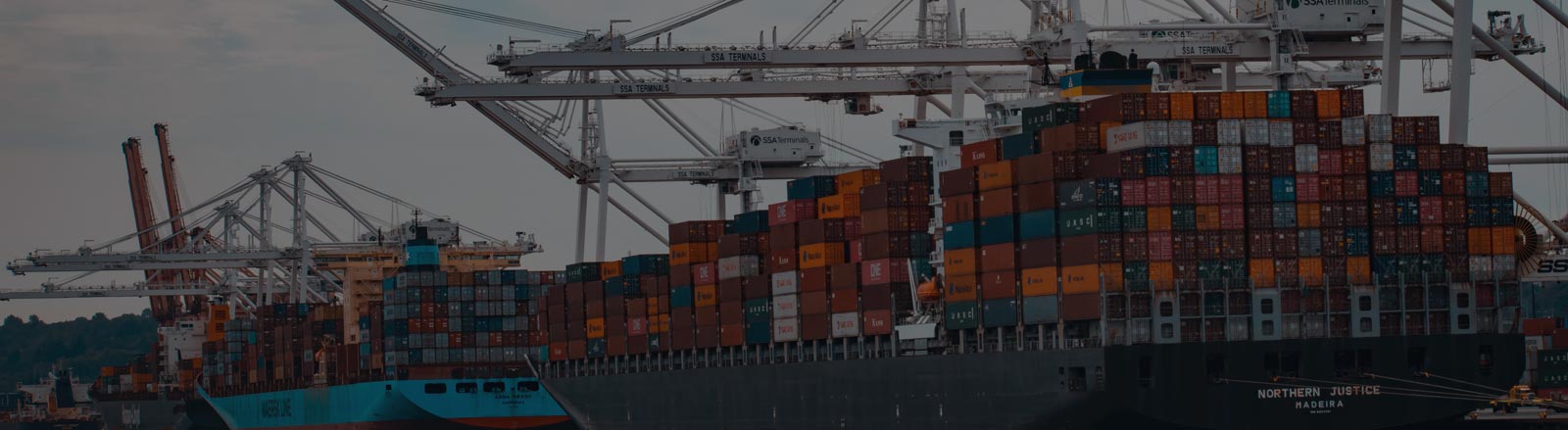 Connecting Trade